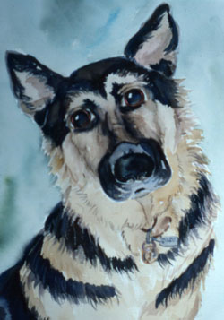 Cocoa dog portrait