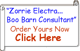Zorrie Electra order banner